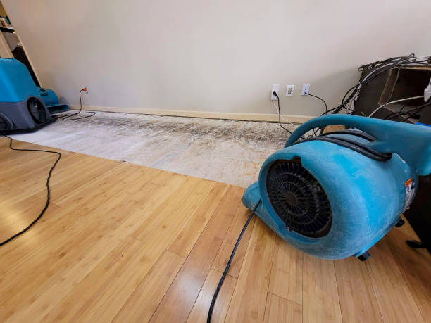 Professional Flood Damage Cleanup technician working in Spencer, WI